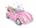 /album/fancy-nancy/eqweqwe-png/